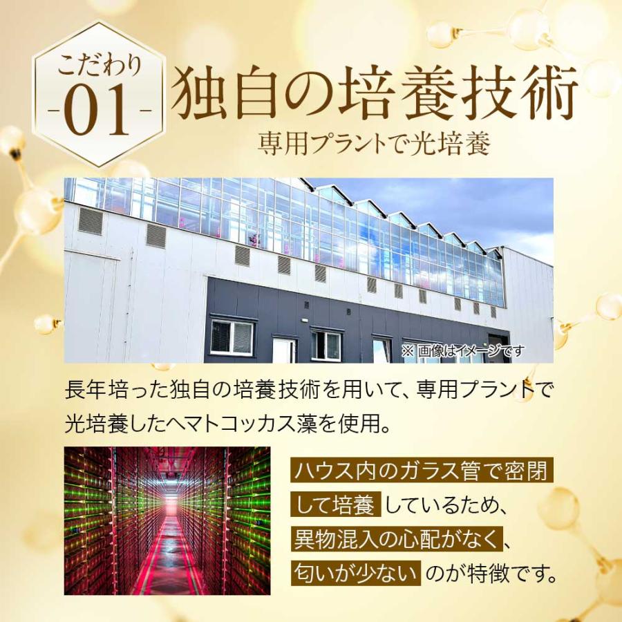 高濃度アスタキサンチン （約1ヶ月分）高品質 高濃度 国内製造 ヘマトコッカス藻 サプリ サプリメント おすすめ 新発売 オーガランド 美容 健康 ポイント利用 | ogaland | 10