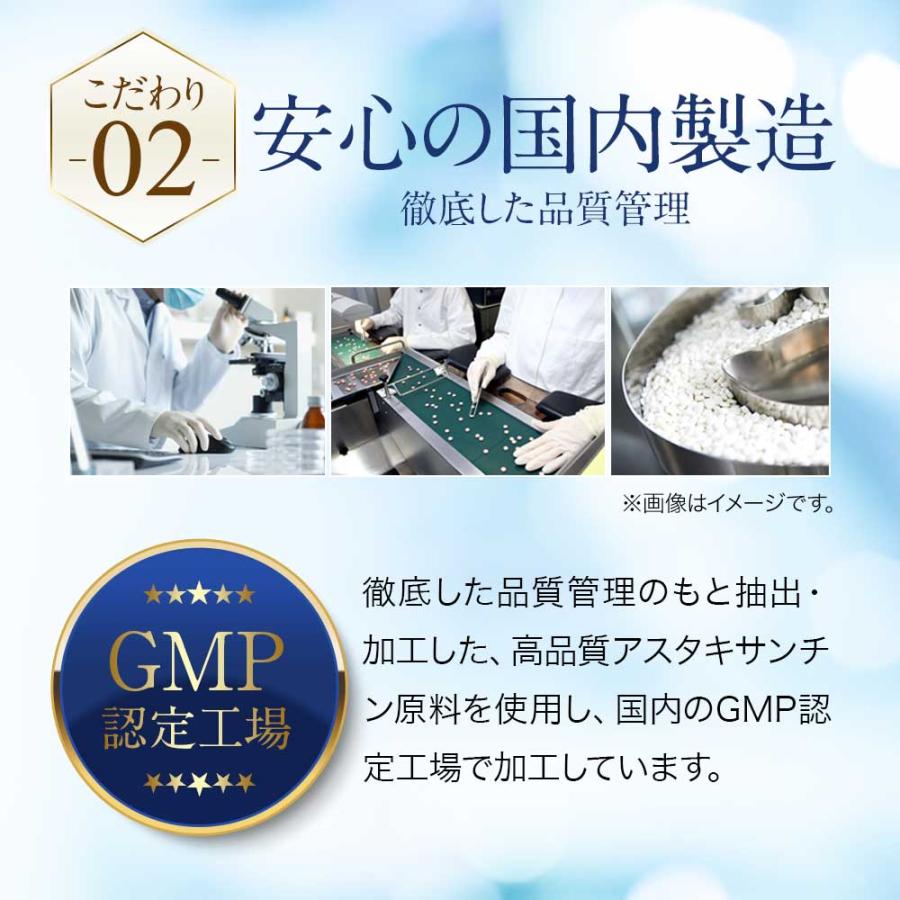 高濃度アスタキサンチン （約1ヶ月分）高品質 高濃度 国内製造 ヘマトコッカス藻 サプリ サプリメント おすすめ 新発売 オーガランド 美容 健康 ポイント利用 | ogaland | 11