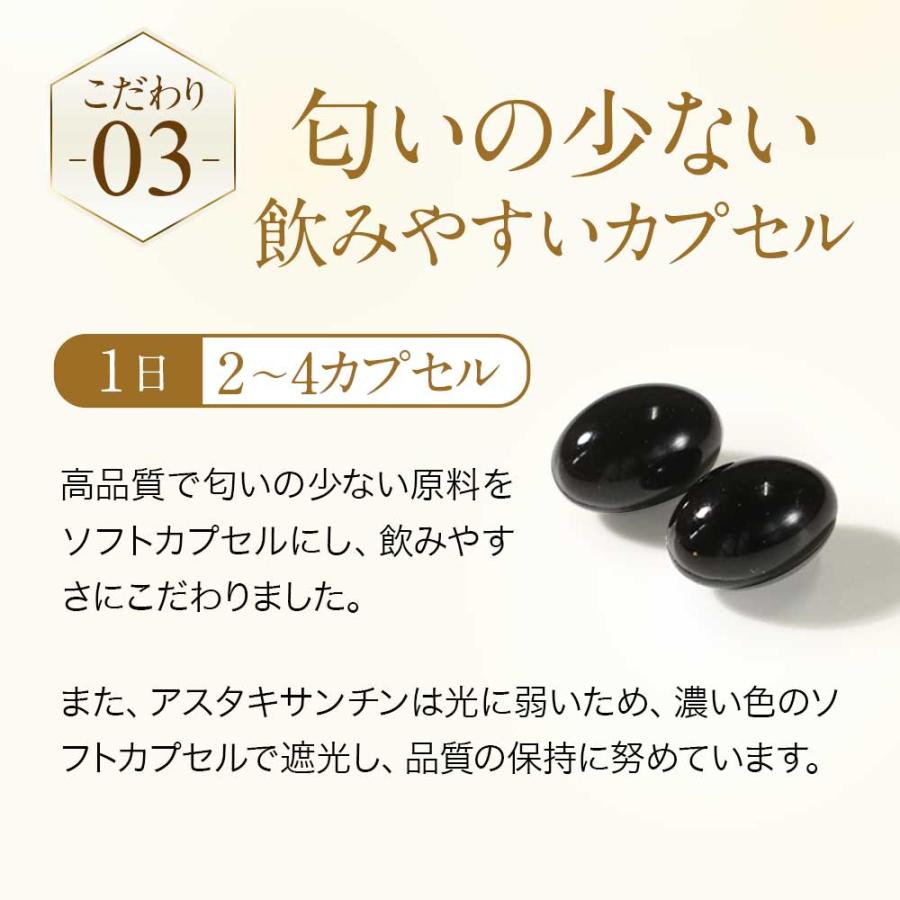 高濃度アスタキサンチン （約3ヶ月分）高品質 高濃度 国内製造 ヘマトコッカス藻 サプリ サプリメント おすすめ 新発売 オーガランド 美容 健康 ポイント利用 | ogaland | 12