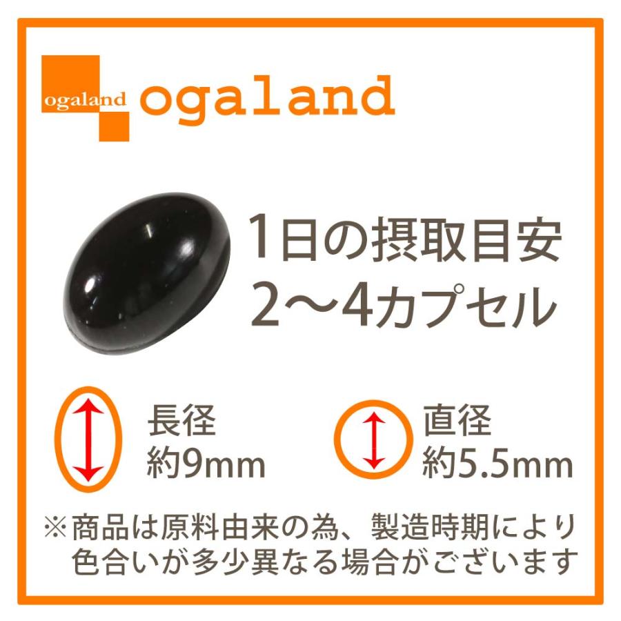 高濃度アスタキサンチン （約3ヶ月分）高品質 高濃度 国内製造 ヘマトコッカス藻 サプリ サプリメント おすすめ 新発売 オーガランド 美容 健康 ポイント利用 | ogaland | 16