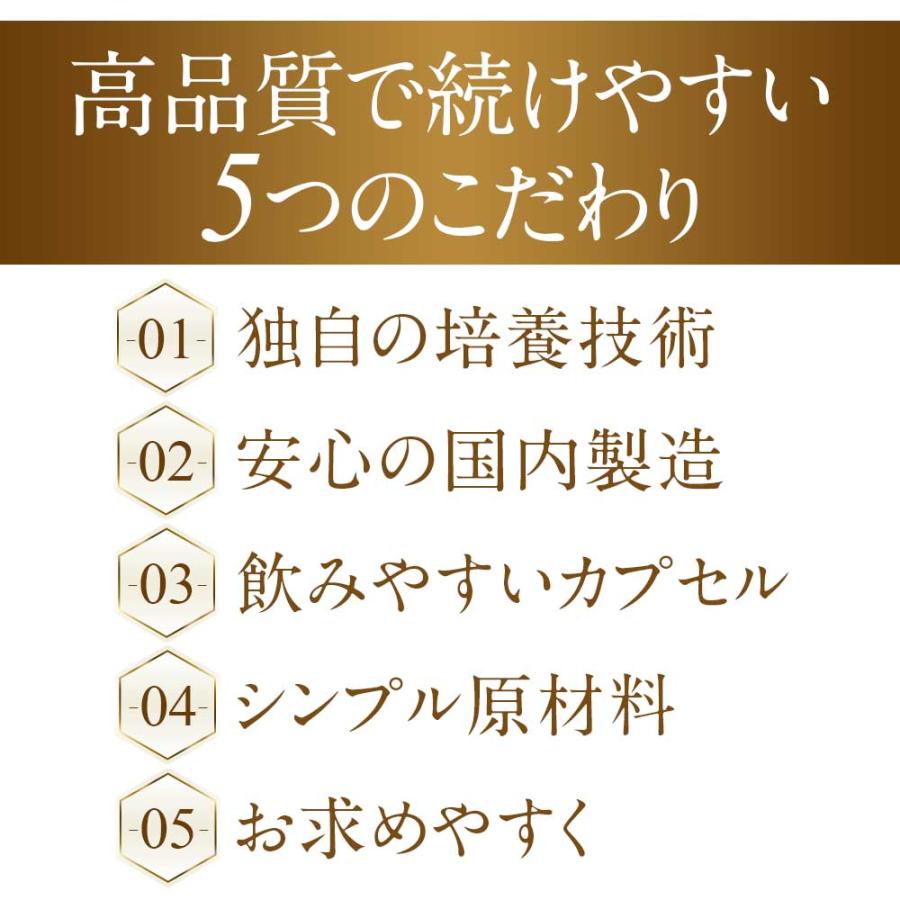 高濃度アスタキサンチン （約3ヶ月分）高品質 高濃度 国内製造 ヘマトコッカス藻 サプリ サプリメント おすすめ 新発売 オーガランド 美容 健康 ポイント利用 | ogaland | 09
