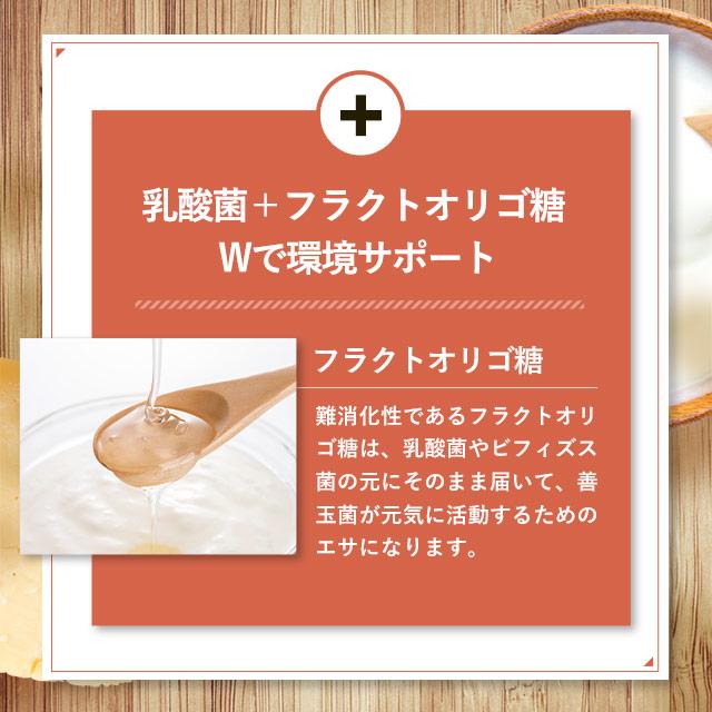 ogaland（オーガランド） コンブチャ （約6ヶ月分） 発酵 サプリメント
