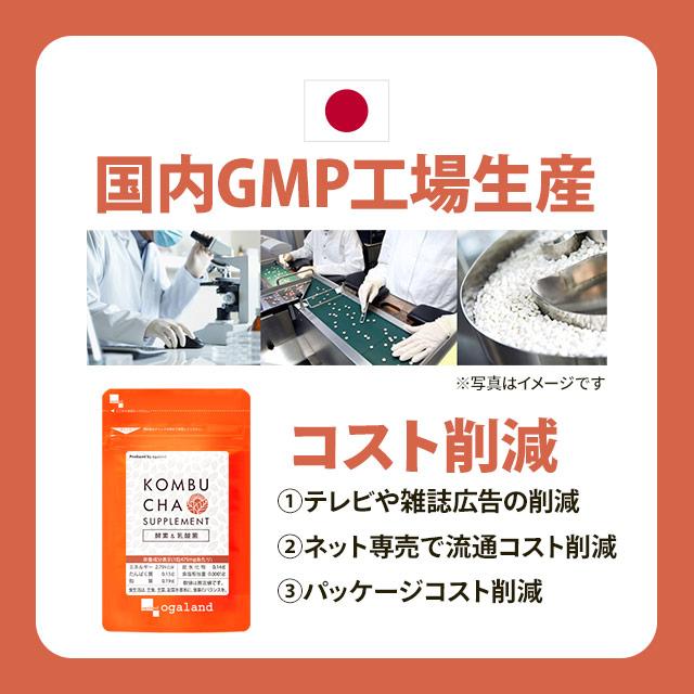 コンブヂャ（サプリ） Amazon.co.jp: 【TEAZEN】ティーゼン コンブチャ 50g (5g×10個