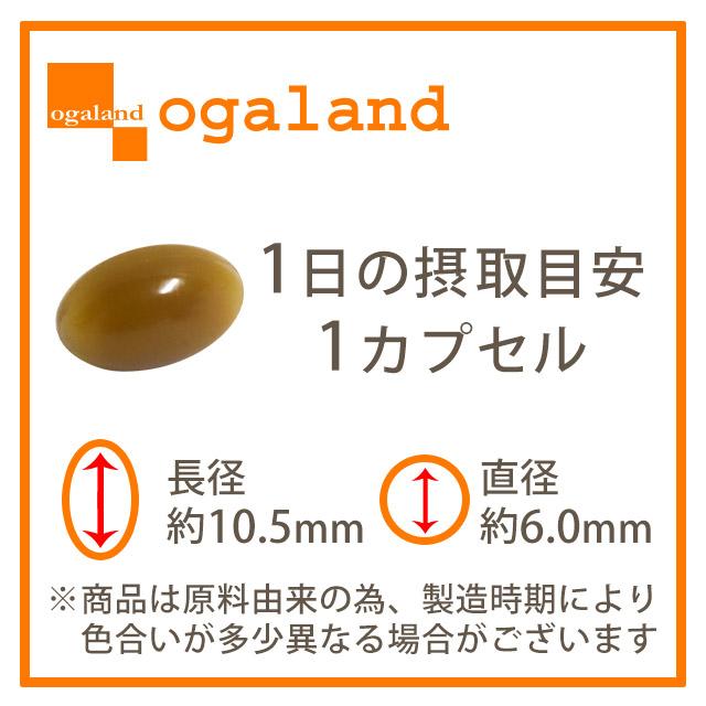 ogaland（オーガランド） コンブチャ （約6ヶ月分） 発酵 サプリメント