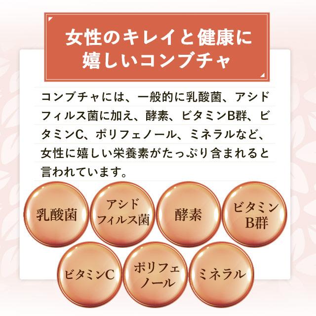 ogaland（オーガランド） コンブチャ （約6ヶ月分） 発酵 サプリメント