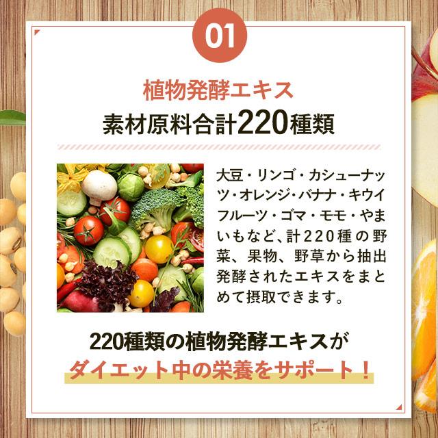 ogaland コンブチャ （約6ヶ月分） 発酵 サプリメント 酵素