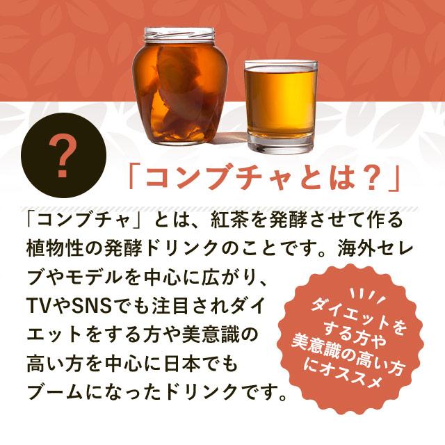 コンブチャ （約1ヶ月分） 酵素 サプリメント KOMBUCHA サプリ ダイエット 発酵 ドリンク 健康 美容 乳酸菌 オリゴ糖 国内 GMP ポイント利用 | ogaland | 05