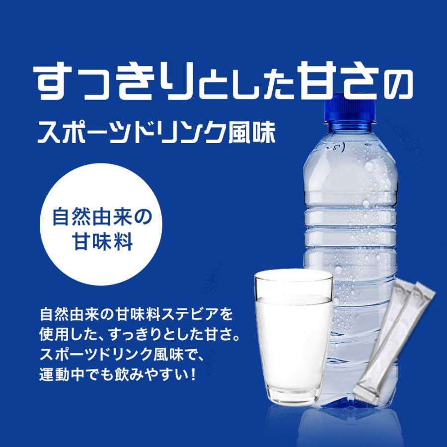 ソルティーミネラルチャージ（20包）【2個セット】熱中症 災害時 対策 個包装 スポーツ 水分補給 トレーニング クエン酸 パウダー食塩 人工甘味料 ポイント利用 | ogaland | 09