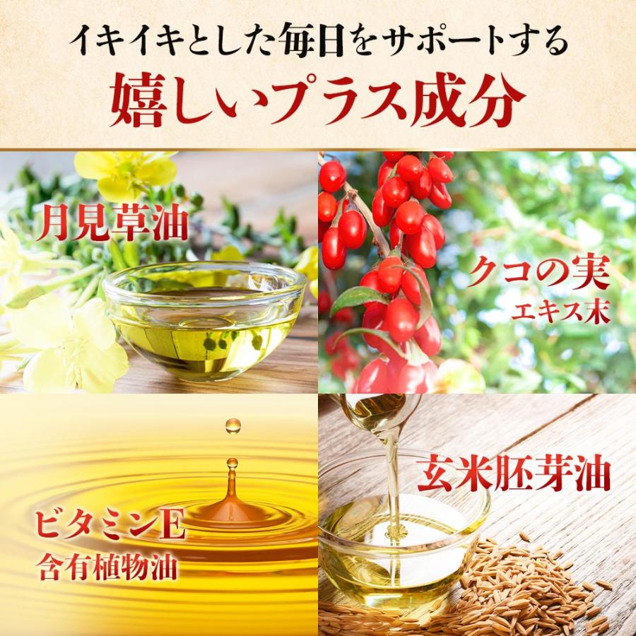 高麗人参カプセル （約1ヶ月分） サプリ サプリメント 紅参 サポニン ジンセノイド 元気 高麗人蔘 発酵 リノレン酸 月見草 ビタミンE β-カロテン ポイント利用 | ogaland | 12