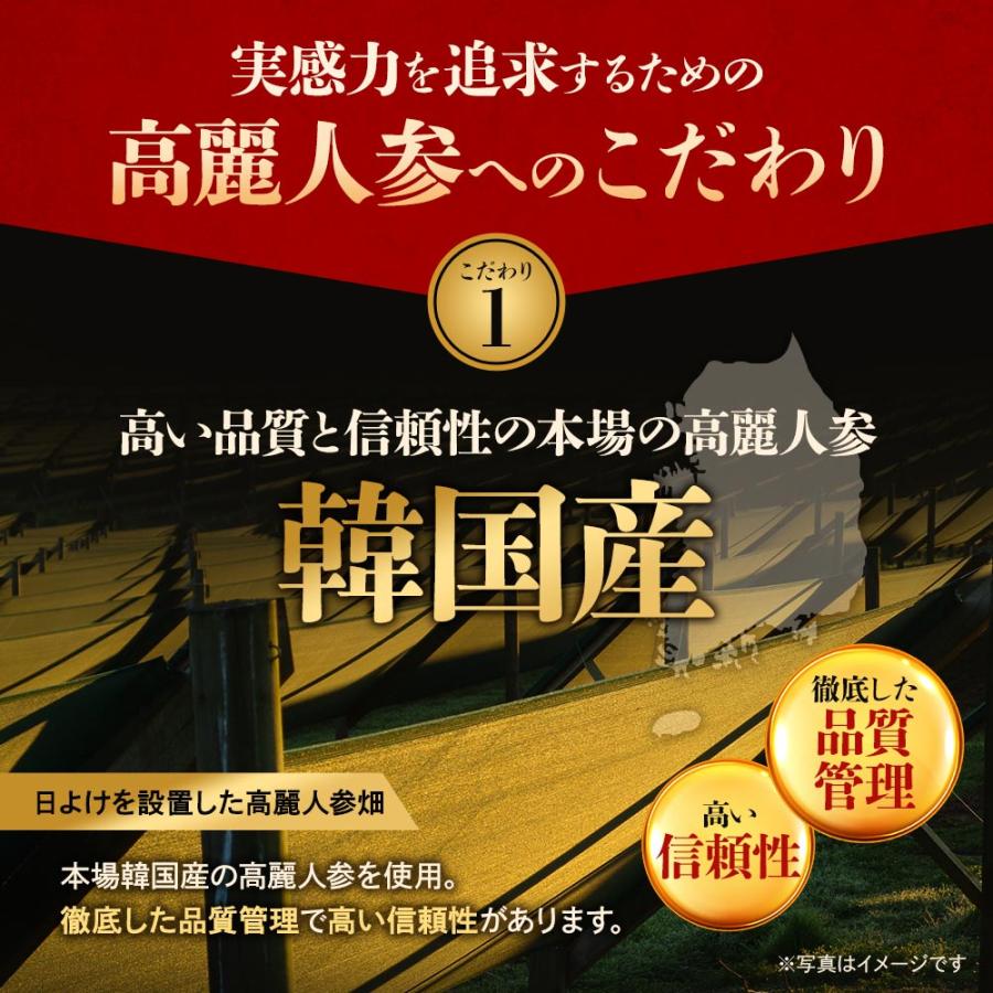 高麗人参カプセル （約1ヶ月分） サプリ サプリメント 紅参 サポニン ジンセノイド 元気 高麗人蔘 発酵 リノレン酸 月見草 ビタミンE β-カロテン ポイント利用 | ogaland | 18