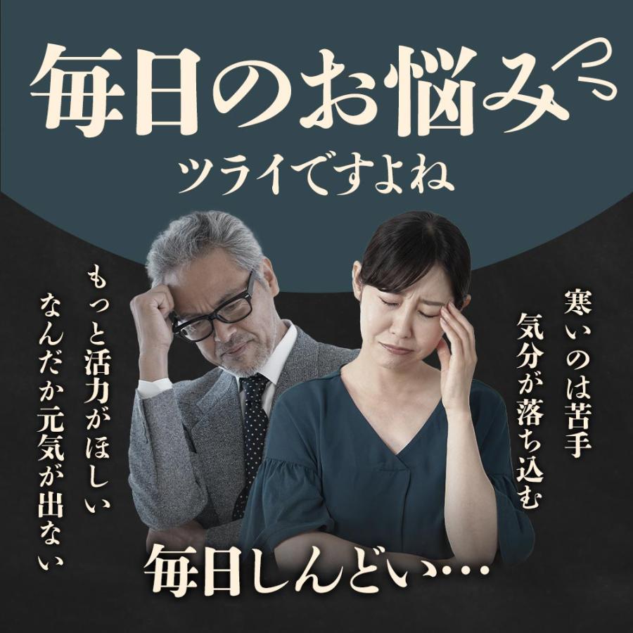 高麗人参カプセル （約1ヶ月分） サプリ サプリメント 紅参 サポニン ジンセノイド 元気 高麗人蔘 発酵 リノレン酸 月見草 ビタミンE β-カロテン ポイント利用 | ogaland | 06