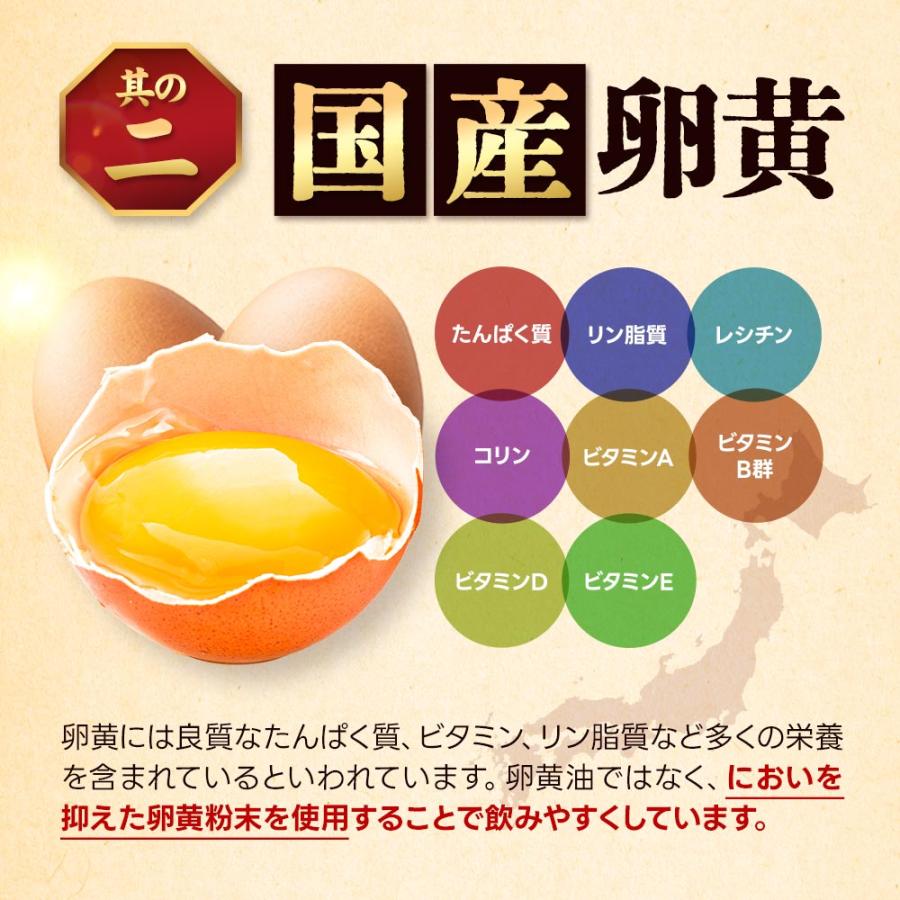 黒にんにく卵黄 （約1ヶ月分） にんにく 卵黄 サプリメント 国産 サプリ 発酵 EPA ビタミン 元気 スタミナアリシン ダイエット ポイント利用 | ogaland | 10