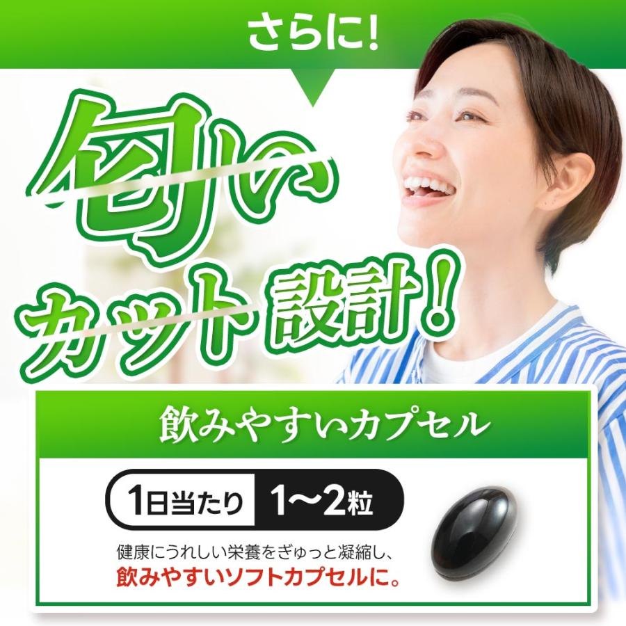 黒にんにく卵黄 （約1ヶ月分） にんにく 卵黄 サプリメント 国産 サプリ 発酵 EPA ビタミン 元気 スタミナアリシン ダイエット ポイント利用 | ogaland | 13