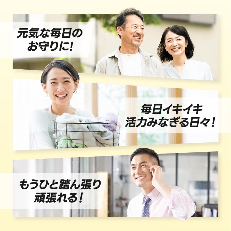 黒にんにく卵黄 （約1ヶ月分） にんにく 卵黄 サプリメント 国産 サプリ 発酵 EPA ビタミン 元気 スタミナアリシン ダイエット ポイント利用 | ogaland | 14