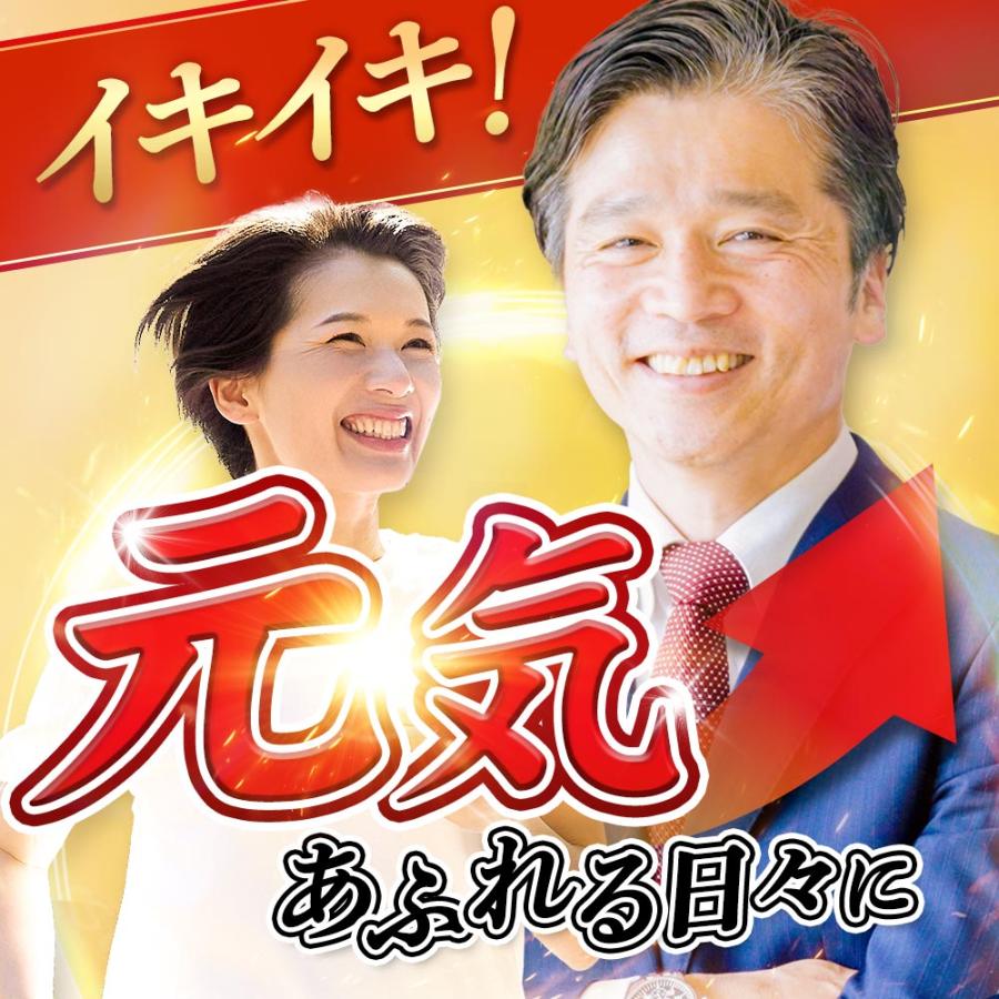黒にんにく卵黄 （約1ヶ月分） にんにく 卵黄 サプリメント 国産 サプリ 発酵 EPA ビタミン 元気 スタミナアリシン ダイエット ポイント利用 | ogaland | 15