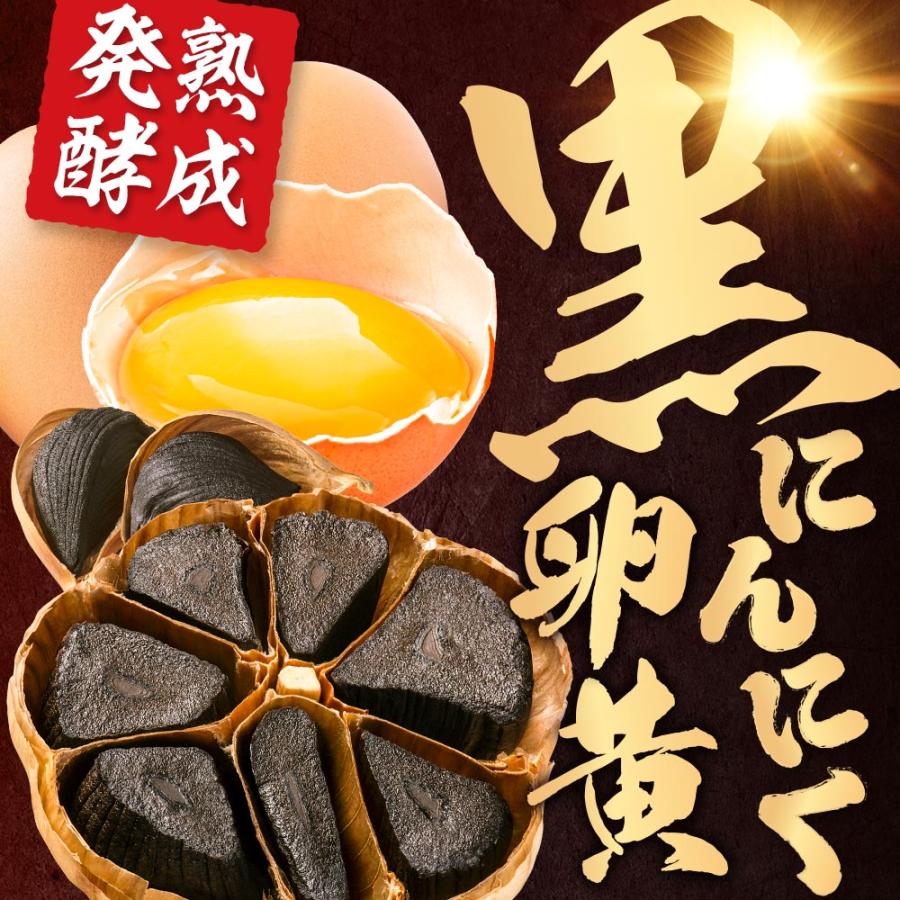 黒にんにく卵黄 （約1ヶ月分） にんにく 卵黄 サプリメント 国産 サプリ 発酵 EPA ビタミン 元気 スタミナアリシン ダイエット ポイント利用 | ogaland | 04