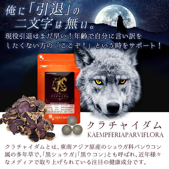 カイメン 卵白ペプチド クラチャイダム 黒ショウガ アルギニン