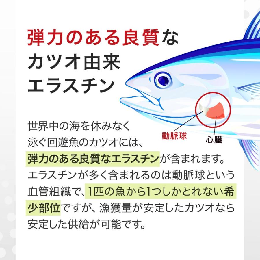 ogaland（オーガランド） 血管と血圧（約3ヶ月分） 1日1錠 血圧