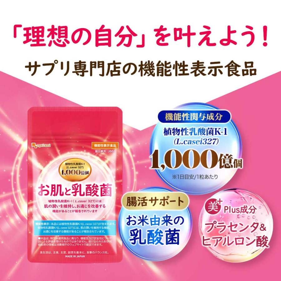 乳酸菌 サプリメント お肌と乳酸菌 （約3ヶ月分）便通の悩み 悪玉菌 善玉菌 腸内環境 サプリ プラセンタ ヒアルロン酸 ビタミンC 機能性表示食品 ポイント利用 | ogaland | 06