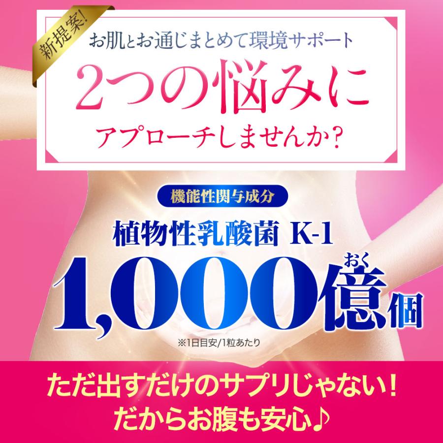 乳酸菌 サプリメント お肌と乳酸菌（約6ヶ月分）便通の悩み 悪玉菌 善玉菌 腸内環境 サプリ プラセンタ ヒアルロン酸 ビタミンC 機能性表示食品 ポイント利用 | ogaland | 17