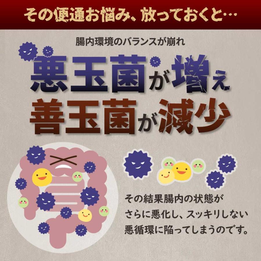 乳酸菌 サプリメント お肌と乳酸菌（約6ヶ月分）便通の悩み 悪玉菌 善玉菌 腸内環境 サプリ プラセンタ ヒアルロン酸 ビタミンC 機能性表示食品 ポイント利用 | ogaland | 05