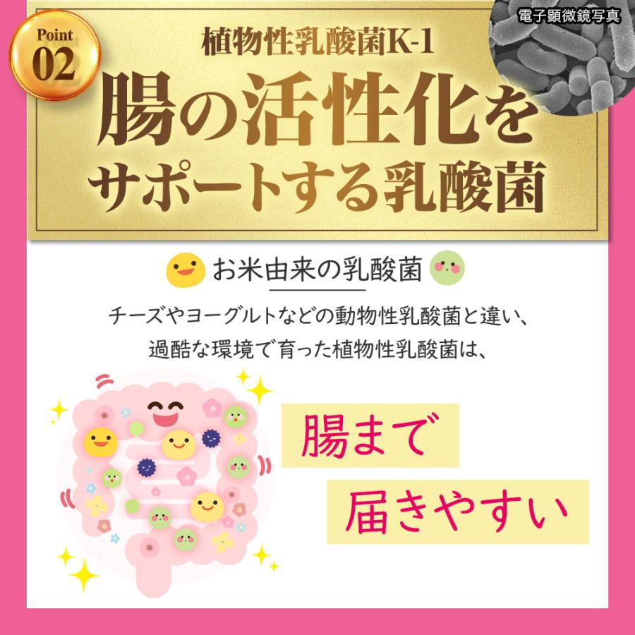 乳酸菌 サプリメント お肌と乳酸菌（約6ヶ月分）便通の悩み 悪玉菌 善玉菌 腸内環境 サプリ プラセンタ ヒアルロン酸 ビタミンC 機能性表示食品 ポイント利用 | ogaland | 09