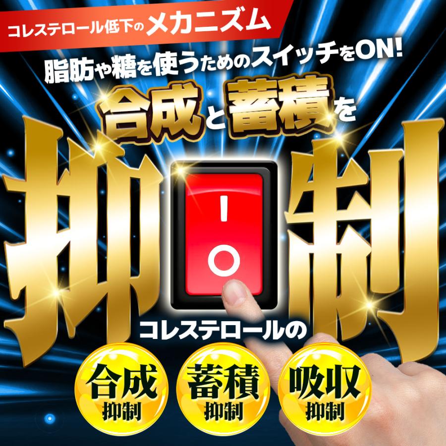 ogaland（オーガランド） コレステロール サプリ LDL習慣（約6ヶ月分