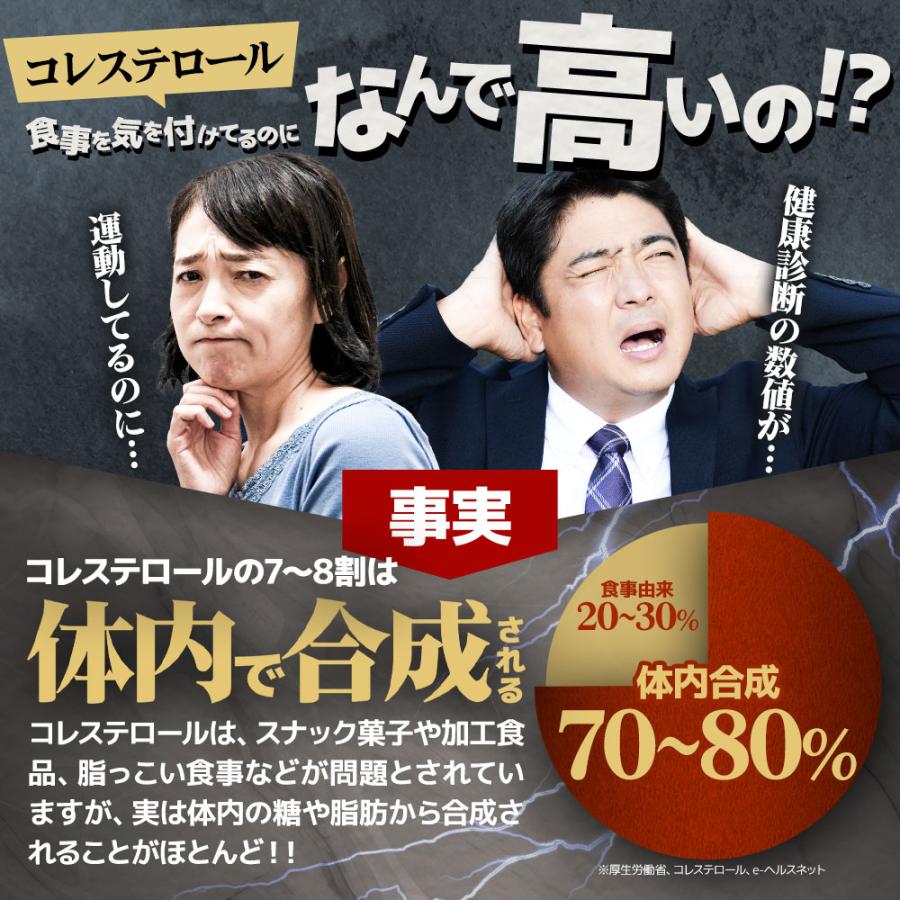 コレステロールを下げる サプリ LDL習慣（約6ヶ月分） サプリメント コレステロール ポリフェノール 機能性表示食品 HMPA 抑制 対策 | ogaland | 05