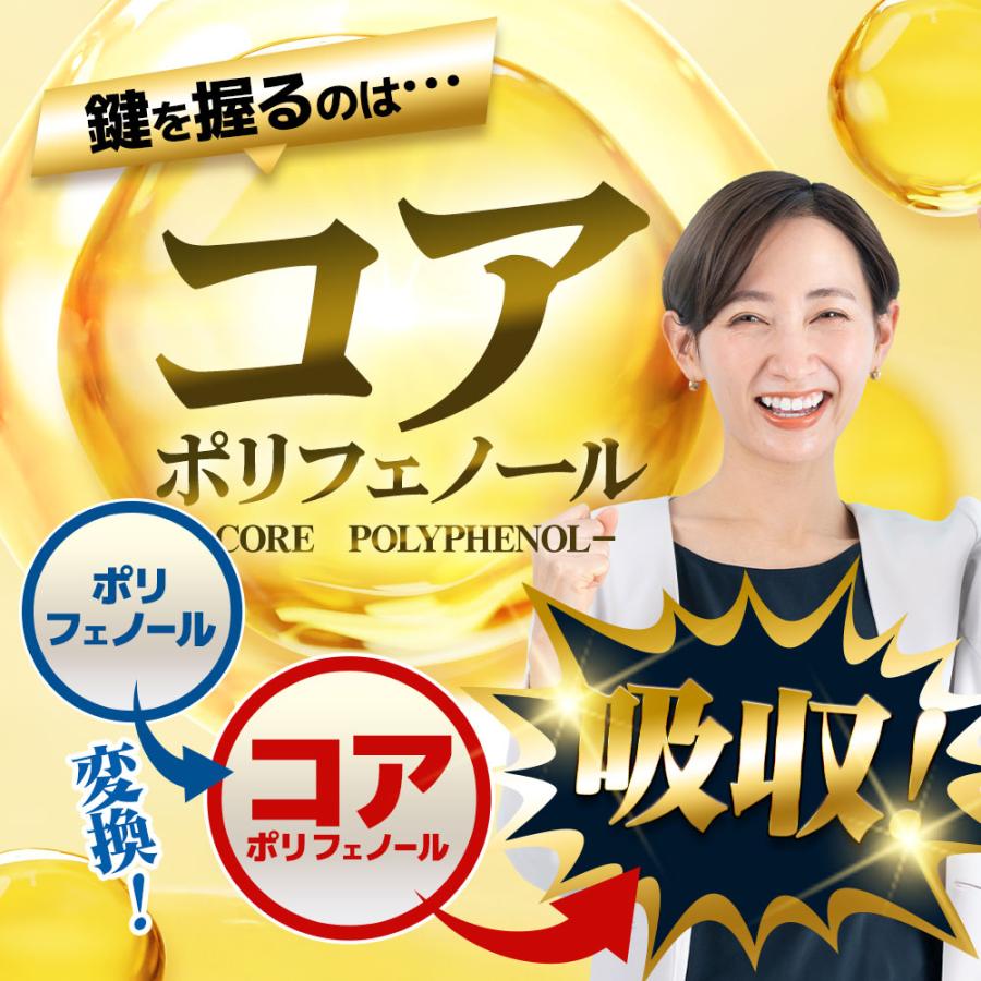 コレステロールを下げる サプリ LDL習慣（約6ヶ月分） サプリメント コレステロール ポリフェノール 機能性表示食品 HMPA 抑制 対策 | ogaland | 07