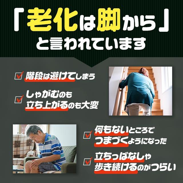 ロコモフレイル（約1ヶ月分） ひざ 関節 の悩みに グルコサミン ロコモ フレイル ブラックジンジャー サプリメント サプリ 中高年の歩行能力向上に ポイント利用 | ogaland | 03