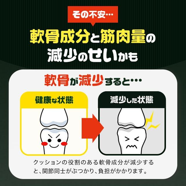 ロコモフレイル（約3ヶ月分） ひざ 関節 の悩みに グルコサミン ロコモ フレイル ブラックジンジャー サプリメント サプリ 中高年の歩行能力向上に ポイント利用 | ogaland | 04