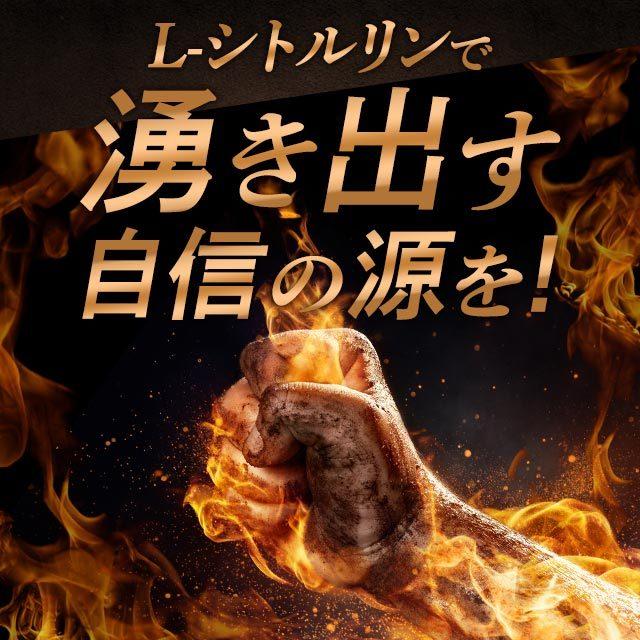 L-シトルリン （約1ヶ月分） シトルリン サプリメント サプリ 自信 元気 男性 アミノ酸 男らしさ マカ 亜鉛 と一緒に 健康食品 スタミナ ポイント利用 | ogaland | 05