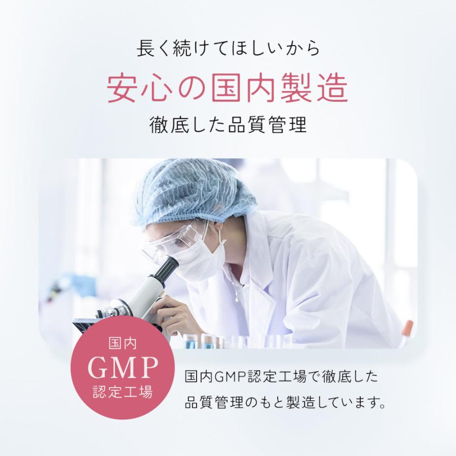 ルナタイム（約1ヶ月分）鉄分 サプリメント 女性 フェムケア サプリ 生理前 月経前 ヘム鉄 GABA 機能性表示食品 健康 美容 睡眠 国内製造 ポイント利用 | ogaland | 14