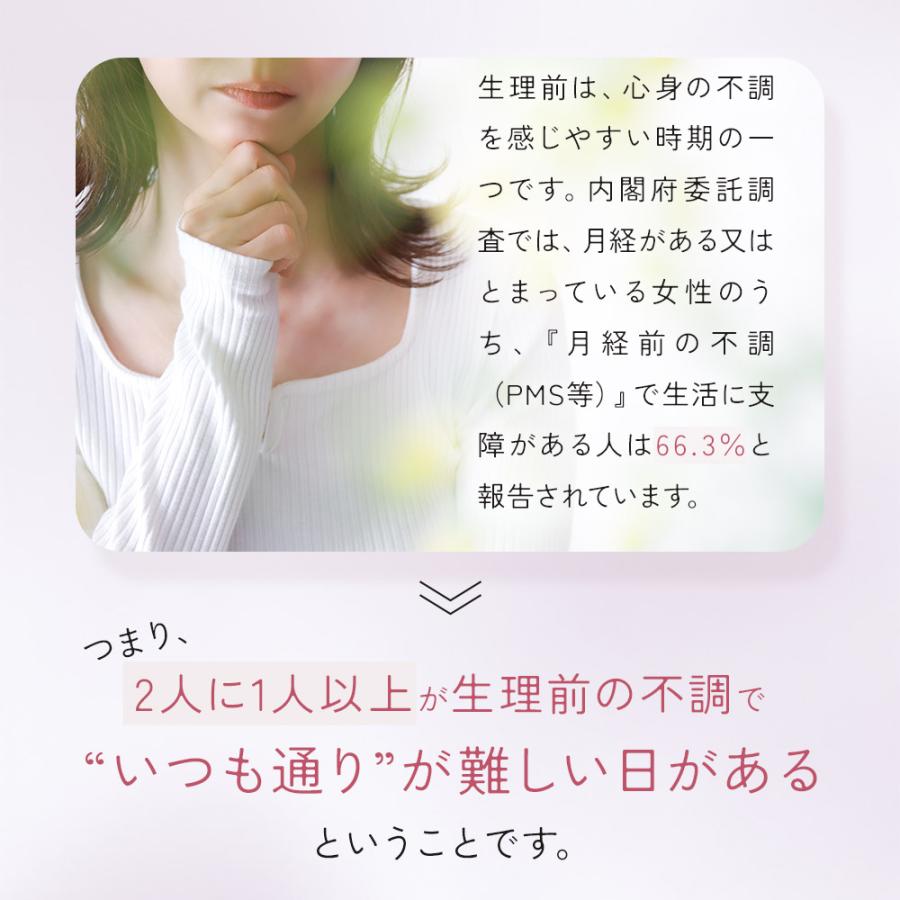 ルナタイム（約1ヶ月分）鉄分 サプリメント 女性 フェムケア サプリ 生理前 月経前 ヘム鉄 GABA 機能性表示食品 健康 美容 睡眠 国内製造 ポイント利用 | ogaland | 06