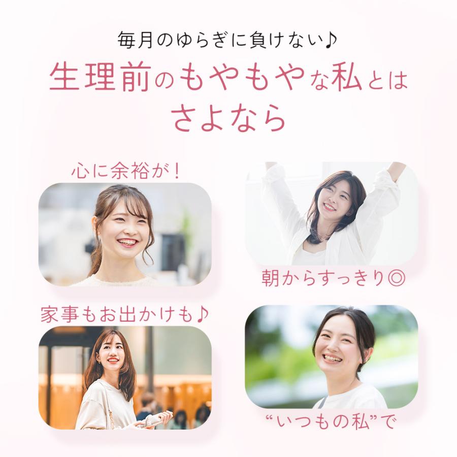 ルナタイム（約3ヶ月分）鉄分 フェムケア サプリメント 女性 サプリ 生理前 月経前 ヘム鉄 GABA 機能性表示食品 健康 美容 睡眠 国内製造 ポイント利用 | ogaland | 15