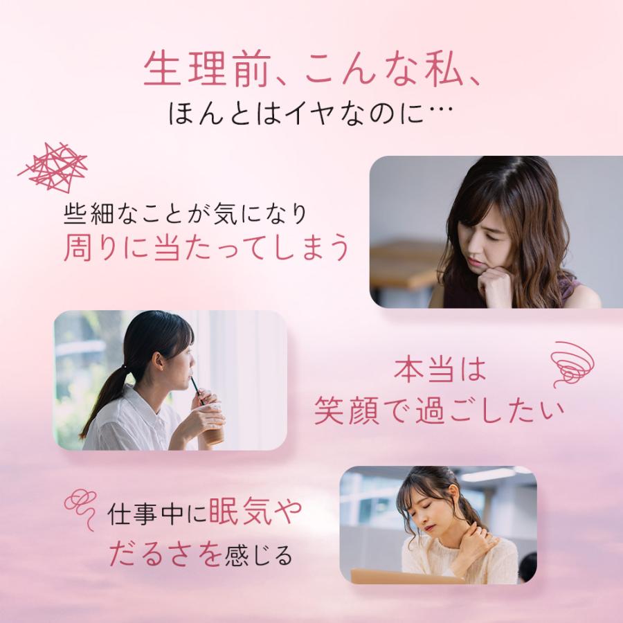 ルナタイム（約3ヶ月分）鉄分 フェムケア サプリメント 女性 サプリ 生理前 月経前 ヘム鉄 GABA 機能性表示食品 健康 美容 睡眠 国内製造 ポイント利用 | ogaland | 03