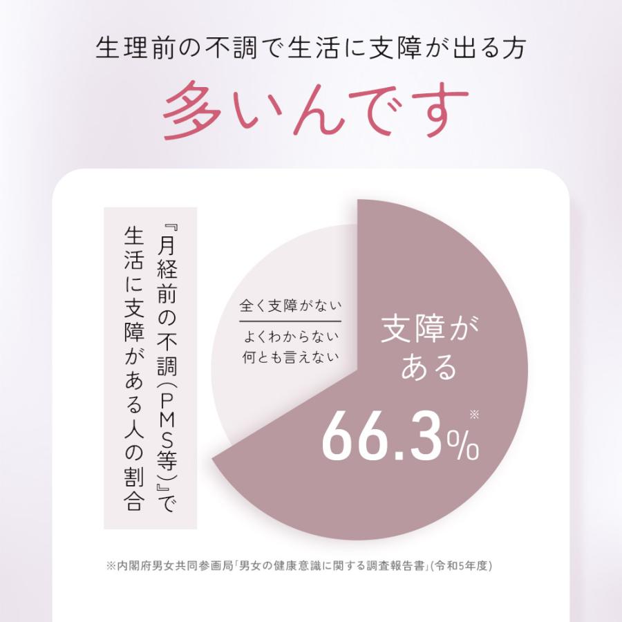 ルナタイム（約6ヶ月分）生理前 月経前 フェムケア サプリメント ヘム鉄 GABA 機能性表示食品 女性 サプリ 健康 美容 睡眠の質向上 国内製造 ポイント利用 | ogaland | 05