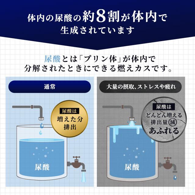 ルテオリン （約6ヶ月分） サプリ 健康診断 尿酸値 プリン体 サプリメント 機能性表示食品 生活習慣 お酒 魚卵 レバー 好きな方へ ポイント利用 | ogaland | 12