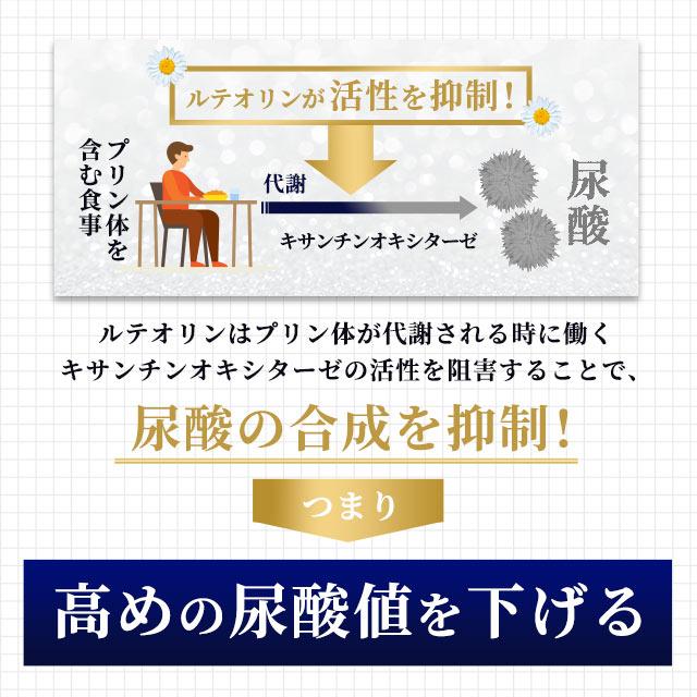 ルテオリン （約6ヶ月分） サプリ 健康診断 尿酸値 プリン体 サプリメント 機能性表示食品 生活習慣 お酒 魚卵 レバー 好きな方へ ポイント利用 | ogaland | 14