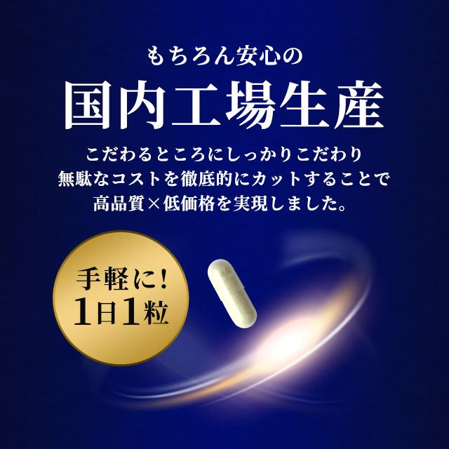 ルテオリン （約6ヶ月分） サプリ 健康診断 尿酸値 プリン体 サプリメント 機能性表示食品 生活習慣 お酒 魚卵 レバー 好きな方へ ポイント利用 | ogaland | 19