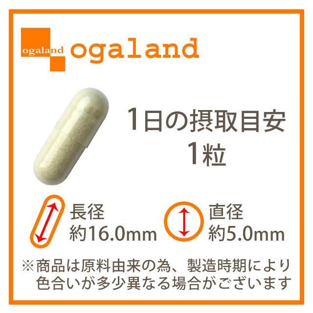 ルテオリン （約6ヶ月分） サプリ 健康診断 尿酸値 プリン体 サプリメント 機能性表示食品 生活習慣 お酒 魚卵 レバー 好きな方へ ポイント利用 | ogaland | 20