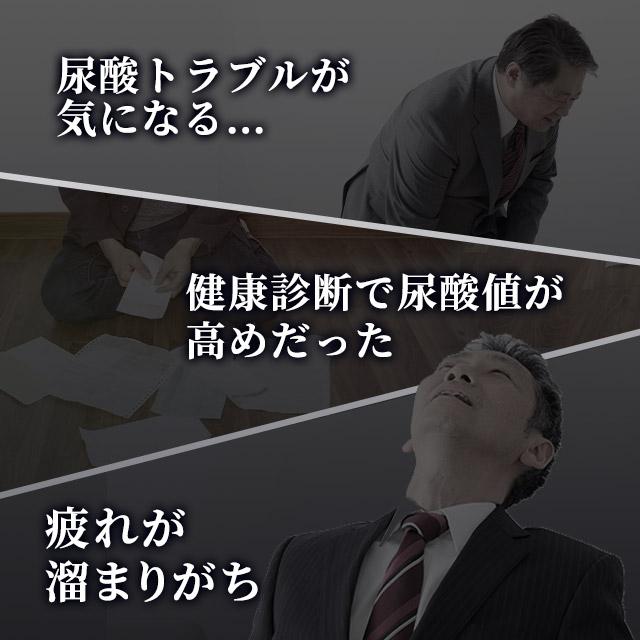 ルテオリン （約6ヶ月分） サプリ 健康診断 尿酸値 プリン体 サプリメント 機能性表示食品 生活習慣 お酒 魚卵 レバー 好きな方へ ポイント利用 | ogaland | 05