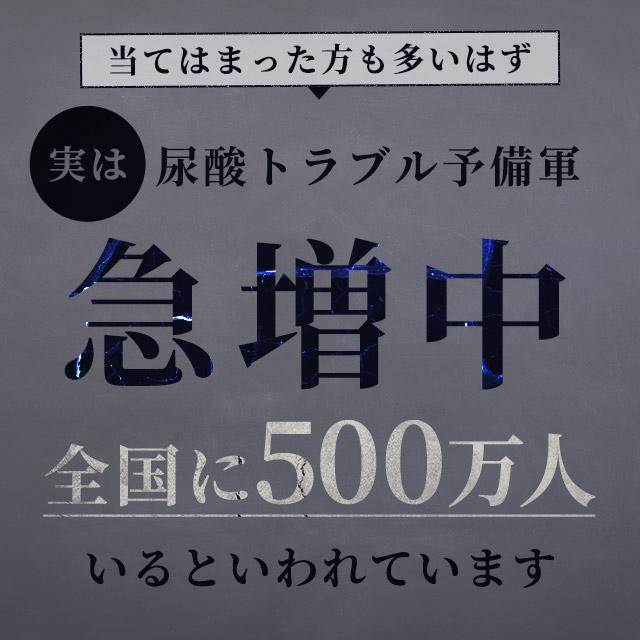 ルテオリン （約6ヶ月分） サプリ 健康診断 尿酸値 プリン体 サプリメント 機能性表示食品 生活習慣 お酒 魚卵 レバー 好きな方へ ポイント利用 | ogaland | 06