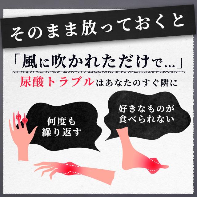 ルテオリン （約6ヶ月分） サプリ 健康診断 尿酸値 プリン体 サプリメント 機能性表示食品 生活習慣 お酒 魚卵 レバー 好きな方へ ポイント利用 | ogaland | 08