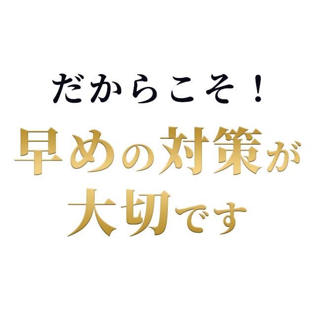 ルテオリン （約6ヶ月分） サプリ 健康診断 尿酸値 プリン体 サプリメント 機能性表示食品 生活習慣 お酒 魚卵 レバー 好きな方へ ポイント利用 | ogaland | 09