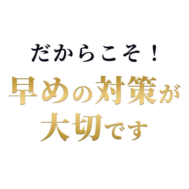 ルテオリン （約1ヶ月分） サプリメント 尿酸値 プリン体 サプリ お酒 好きな方へ 機能性表示食品 健康 生活習慣 クエン酸 ナイアシン パンテトン酸 カルシウム｜oga｜09