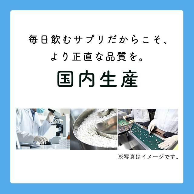 マルチミネラル （約1ヶ月分） 美容 健康 サプリ ヨウ素 サプリメント カルシウム 鉄 亜鉛 マグネシウム エイジングケア 必須 ミネラル ビタミン ダイエット｜oga｜18