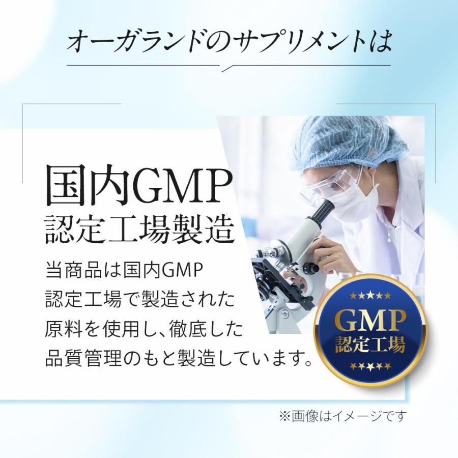 ホスファチジルコリンα （約3ヶ月分） サプリメント サプリ ダイエット 美容 大豆 レシチン あまに油 亜麻仁油 リノール酸 送料無料 健康 ポイント利用 | ogaland | 15