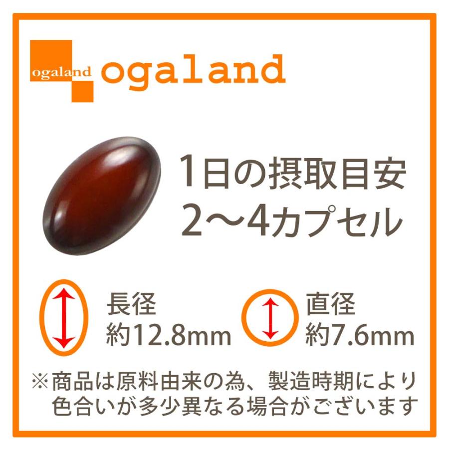 ホスファチジルコリンα （約3ヶ月分） サプリメント サプリ ダイエット 美容 大豆 レシチン あまに油 亜麻仁油 リノール酸 送料無料 健康 ポイント利用 | ogaland | 17
