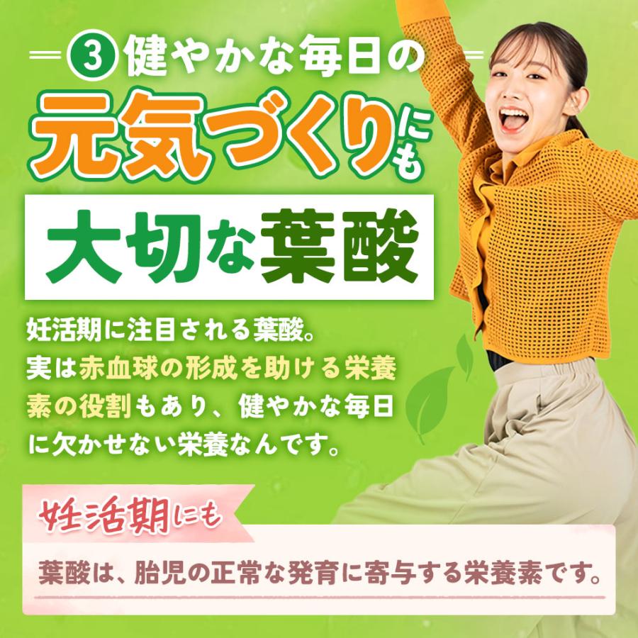 マルチビタミン＆ヘム鉄＆葉酸（約6ヶ月分）オールインワン 葉酸 鉄 ビタミン サプリ サプリメント 栄養機能食品 ビタミンC ビオチン 美容 女性 ポイント利用_10
